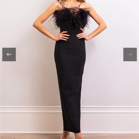 Lisa Marée Art of Silence Feathered Maxi Dress - Picture 10 of 10